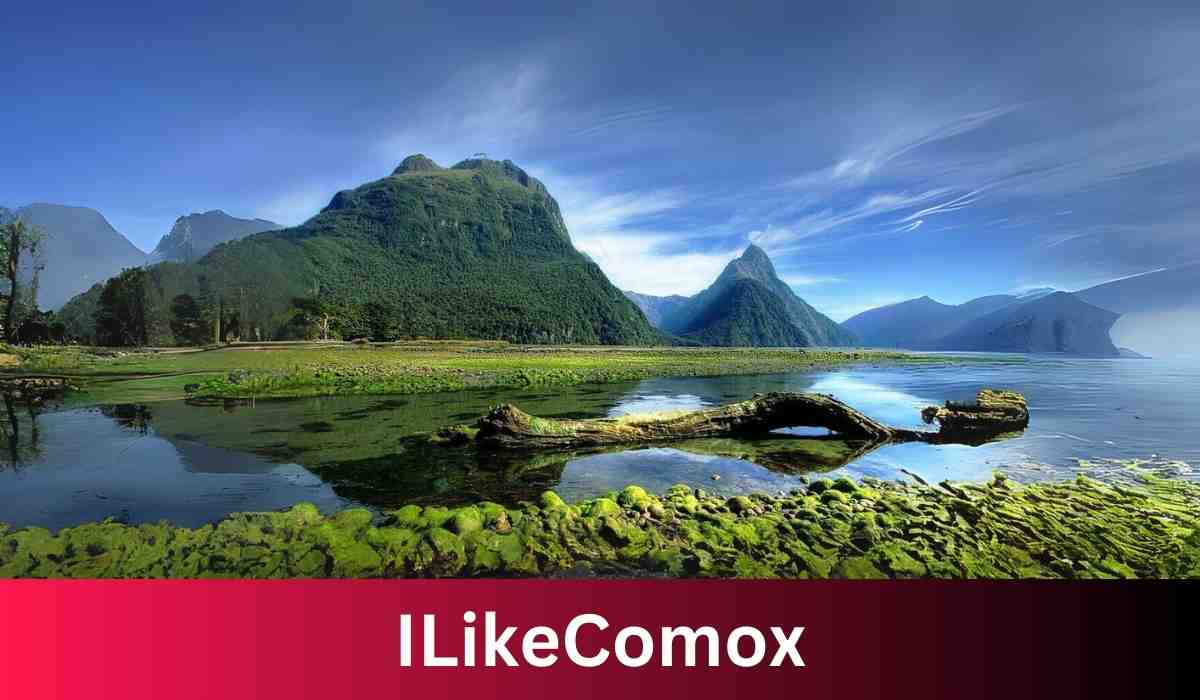 ILikeComox