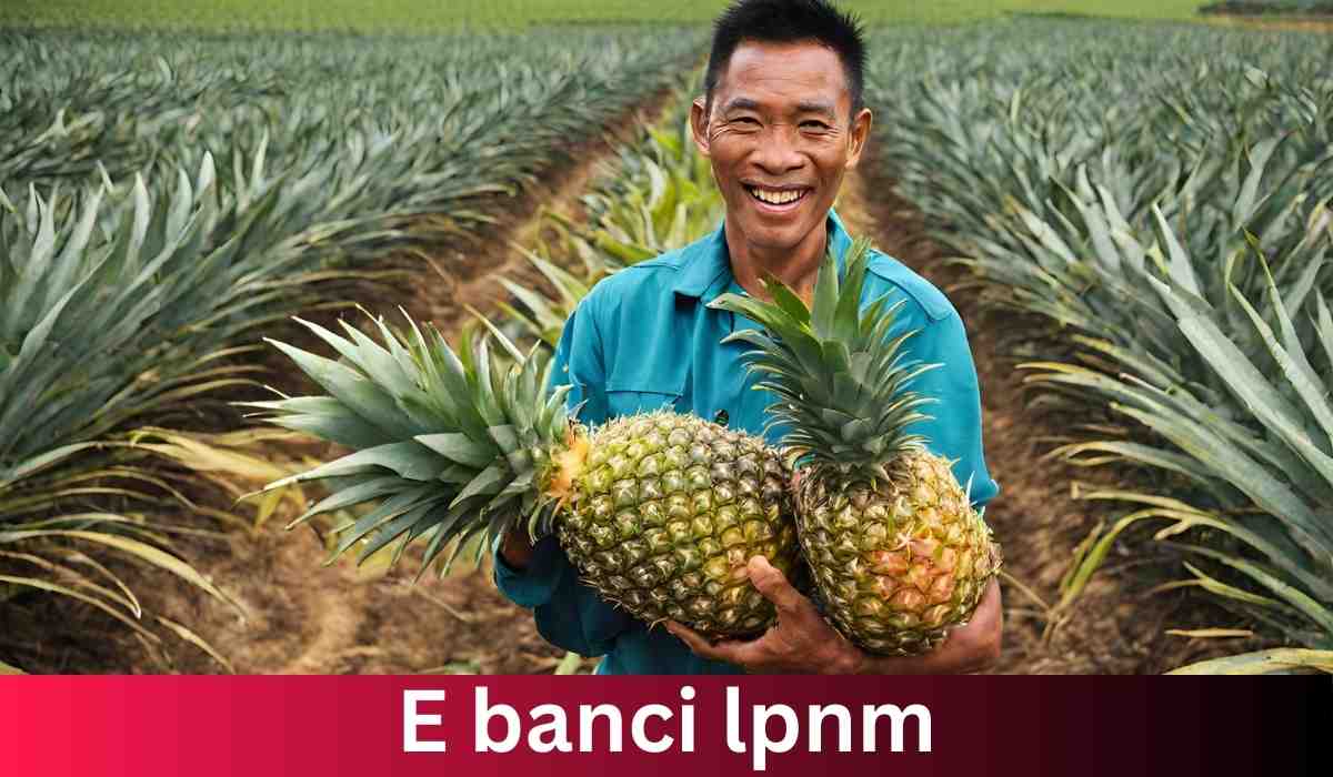 e banci lpnm