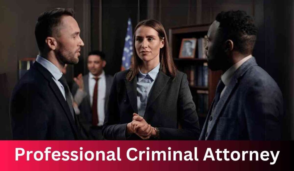 Professional Criminal Attorney
