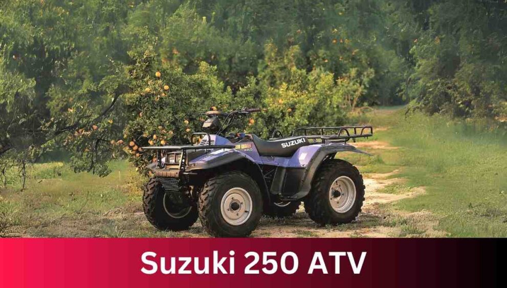 Suzuki 250 ATV