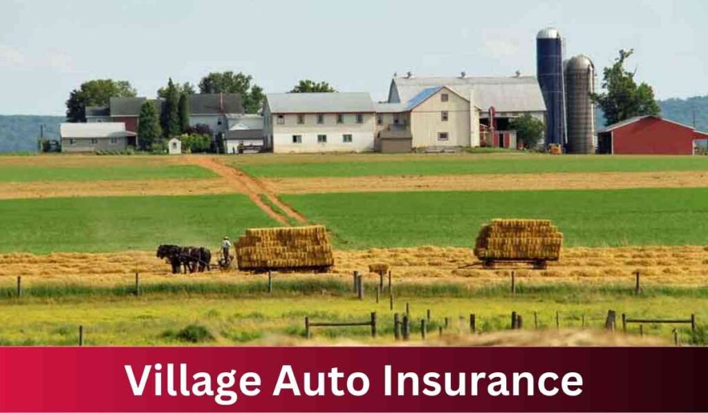 Village Auto Insurance