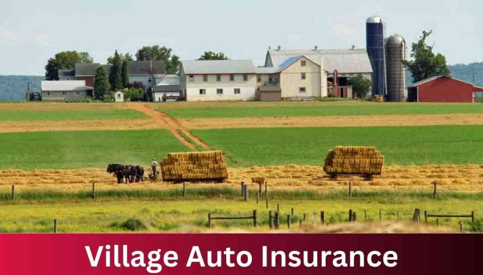 Village Auto Insurance