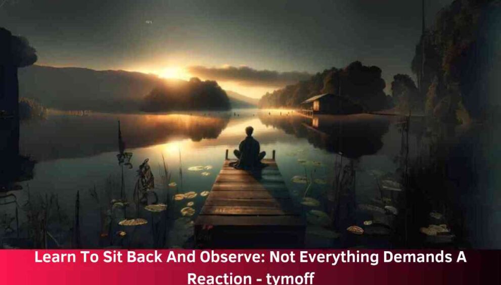 Learn To Sit Back And Observe: Not Everything Demands A Reaction - tymoff